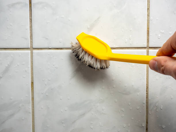 Best Localized Mold Remediation (e.g., coastal areas, humid climates) in Glenwood, AR