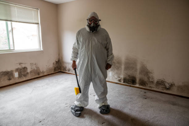 Best Post-Flood Mold Remediation in Glenwood, AR